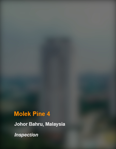 Molek Pine 4_JB_Inspection_b